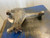 2002-2010 Mercury Mountaineer Front Axle Differential Carrier 3.73 Ratio OEM Used used OEM differential carrier
