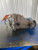2003-2009 Nissan 350Z AT Rear Axle Differential Carrier Assembly 3.357 Ratio OEM Used used OEM differential carrier
