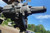 2000 Dodge Durango Transfer Case Assembly Opt NV231 AT Transmission Used used OEM transfer case