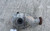 2014-2018 BMW X5 Front Axle Differential Carrier Assembly (AWD) 3.15 Ratio Used OEM used OEM differential carrier