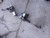 2013-2014 Ford Escape Power Rack and Pinion Electric Assist Assembly Used used OEM rack and pinion