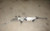 2013-2016 Dodge Dart Stering Gear Power Rack & Pinion W/ Touring Suspension Used used OEM rack and pinion