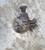 2003-2009 Volvo S60 S80 V70 XC70 XC90 Transfer Case Assembly 5 Cyl AWD 2.5L Used used OEM transfer case