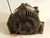 FORD 500 FIVE HUNDRED 2005-2007 ALTERNATOR MOTOR ASSEMBLY used OEM alternator