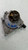 Vacuum Pump Fits 2013-2018 BMW 320i used OEM ABS pump and module