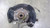 2006-2018 Toyota Rav4 Right Passenger Front Spindle Knuckle OEM used OEM spindle or steering knuckle