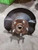 2003-2011 Honda Element Passenger Right Front Spindle Knuckle OEM used OEM spindle or steering knuckle
