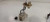 Fuel Pump Assembly Fits 2008-2014 SCION XD used OEM fuel pump