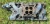 1968 Ford Mercury 289 302 Hi Po 4V 4BBL Cast Fomoco Used OEM Intake Manifold