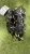 2020-2023 Toyota Corolla Hybrid Used OEM Intake Manifold