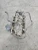 1999-2002 Chevrolet GMC Used OEM Intake Manifold with Throttle Body .