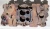 1969 Chevrolet Gm Sbc 927184 Used OEM Intake Manifold with Distributor Bracket