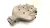 2008-2009 Pontiac G8 Upper 3.6L 92214493 Used OEM Intake Manifold