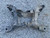 2011 CHEVROLET CAMARO SS OEM REAR SUBFRAME CRADLE 0179 used OEM rear subframe and crossmember