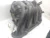 Suzuki 10-'13 SX4 2.0L 6 Month Used OEM Intake Manifold