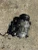 2007-2013 BMW X5 E70 Used OEM AC Compressor