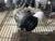2012 Mercedes-Benz SLK350 Used OEM AC Compressor