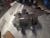 2013-2018 Nissan Altima 4-Cyl Used OEM AC Compressor