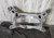 10-16 OEM Porsche Panamera Rear Subframe Differential Carrier Cross Member used OEM differential and carrier assembly