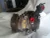 2000-2001 Toyota Avalon Used OEM AC Compressor