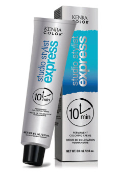 Studio Stylist Express Permanent Color