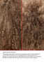 Salon Intro Kit - 140 Applications