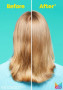 High Amplify Volume Shampoo