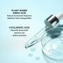 Money Laundering Glossing Conditioner