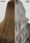 Shades EQ Gloss Demi-Permanent Color Hair Toner