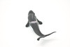 Orca, Killer Whale, Very Nice Rubber Replica  6" -  F472 B4