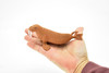 Walrus, Marine Mamma, Very Nice Design, Hand Painted, Rubber Animal, Educational, Diorama Model, Realistic Figure, Figurine, Replica, Toy, Kids, 5 Inches. 