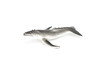 Humpback Whale, Very Nice Plastic Replica  3"  -  F602 B35