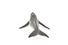 Humpback Whale, Very Nice Plastic Replica  3"  -  F602 B35