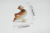 Duck, Mandarin, Chinese Teal,  Very Nice Plastic Reproduction  1 1/2"   F622 B132