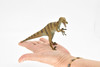 Velociraptor Dinosaur,  Museum Quality Plastic Replica   7"  -   F668 B69