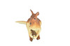 Kangaroo with Baby, Joey, Australian outback Marsupial, Museum Quality, Very Nice Rubber Design, Educational Figure, Diorama Model, Toy, Kids,   3 1/2 Inches. 