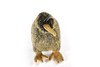 Kiwi Bird, Plush Animal Museum Quality    8 inches    F705 B172