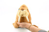 Walrus, Realistic, Stuffed, Soft, Toy, Educational, Kids, Gift, Plush Animal    16"     F893 B10