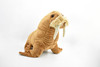 Walrus, Realistic, Stuffed, Soft, Toy, Educational, Kids, Gift, Plush Animal    16"     F893 B10