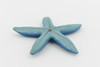 Starfish, Blue, Sea Star, Echinoderms,  Asteroidea, Ocean, Sea Life, Plastic Figure, Model, Realistic Replica, Educational, Figurine, Animal, Life Like, Gift,    2 1/4 "   F925 B158