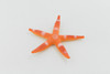 Starfish, Sea Star, Echinoderms,  Asteroidea, Ocean, Sea Life, Plastic Figure, Model, Realistic Replica, Educational, Figurine, Animal, Life Like, Gift,     2 "     F931 B158