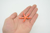 Starfish, Sea Star, Echinoderms,  Asteroidea, Ocean, Sea Life, Plastic Figure, Model, Realistic Replica, Educational, Figurine, Animal, Life Like, Gift,     2 "     F931 B158