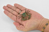 Crab, Striped Shore Crab, Rubber, Crustaceans, Educational, Realistic, Hand Painted, Figure, Lifelike Figurine, Replica, Gift,    2 1/4"    F934 B157