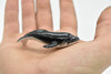 Humpback Whale, Calf, Very Nice Plastic Replica   2 1/2"  ~  F7036-B54