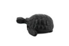 Tortoise, Turtle, Hand Made in Northern Thailand, Hard Resin, Educational, Figure, Diorama, Model, Figurine, Replica, 1 1/2 Inches.  