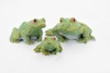 Frog, Family, 3 Piece Set, Rubber Toy Amphibian, Realistic Figure, Model, Replica, Kids, Educational, Gift,     3 1/2"    F3692-B15