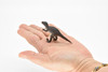 Velociraptor Dinosaur,~ Plastic Replica      2 3/4"       F1864-B4