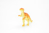 Heterodontosaurus Dinosaur, Very Nice Plastic Replica    3"   ~   F1868-B4