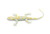 Gecko, Leaf-Toed Gecko, Lizard, Reptile, Rubber Toy, Realistic, Rainforest, Figure, Model, Replica, Kids, Educational, Gift,       4.1/2"     F6100 B381  