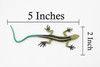 Lizard, Five-Lined Skink, Juvenile, Rubber, Reptile Toy, Realistic Figure, Model, Replica, Kids, Educational, Gift,       5"        F6106 B381